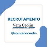 VERA CEOLIN CONSULTORIA EM DESENVOLVIMENTO HUMANO LTDA